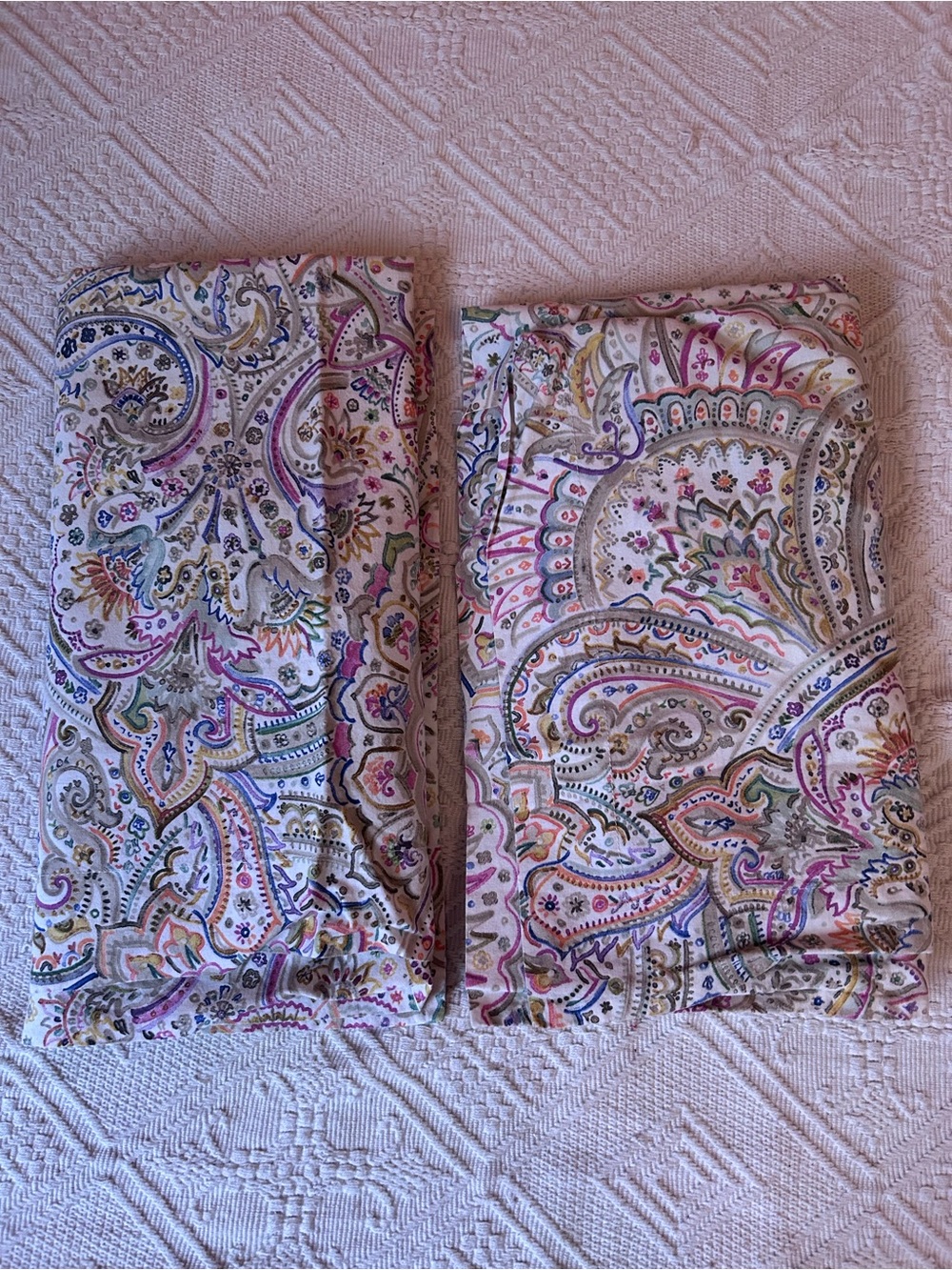 Pair of Paisley Watercolor Zara Home Cotton Decorative Pillow Sham